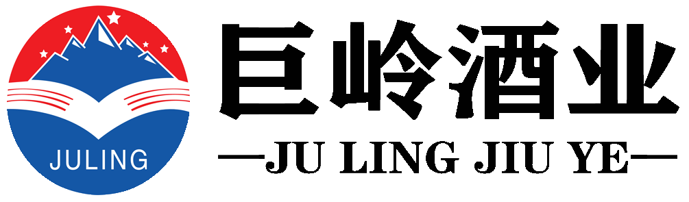 西安應龍網絡科技有限公司LOGO